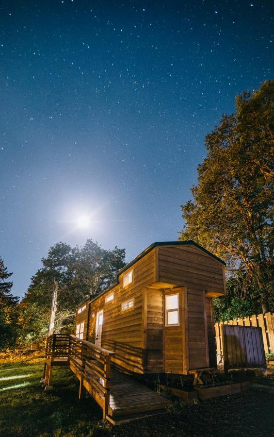 Idleyld Park Umpqua'S Last Resort - Wilderness Cabins, Rv Park & Glamping מראה חיצוני תמונה