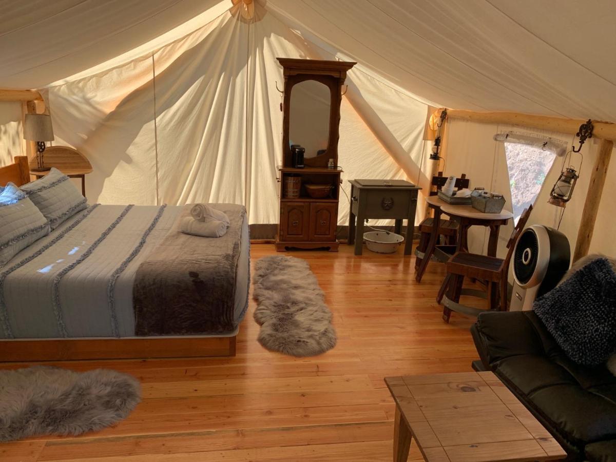 Idleyld Park Umpqua'S Last Resort - Wilderness Cabins, Rv Park & Glamping מראה חיצוני תמונה