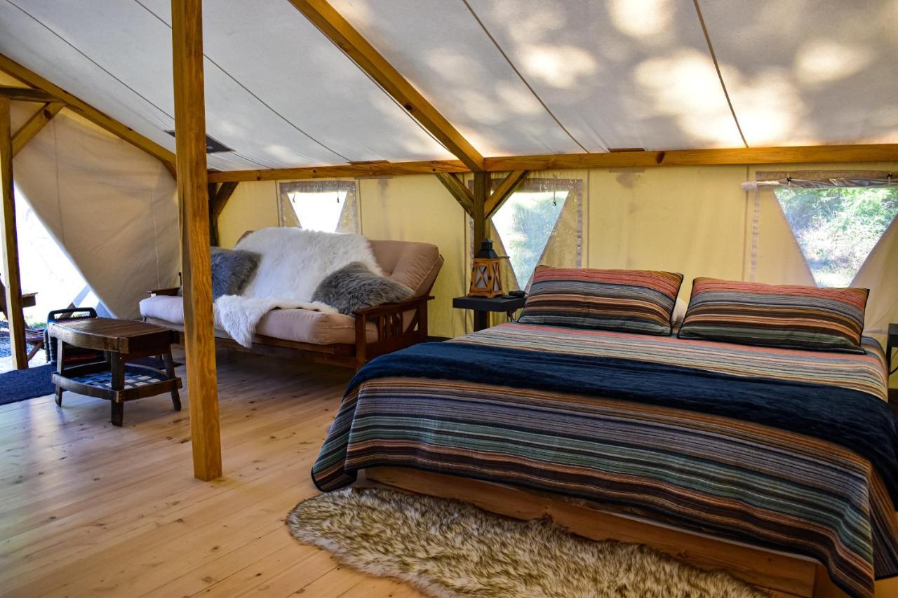 Idleyld Park Umpqua'S Last Resort - Wilderness Cabins, Rv Park & Glamping מראה חיצוני תמונה